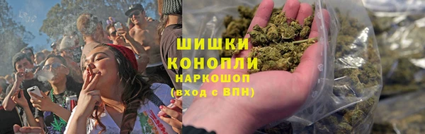 стафф Новокубанск