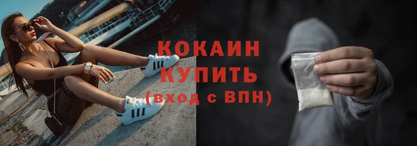 стафф Новокубанск