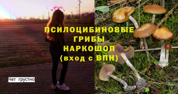 мет Нефтекумск